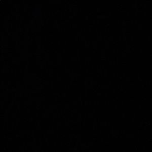 Meet your Posher, Loretta